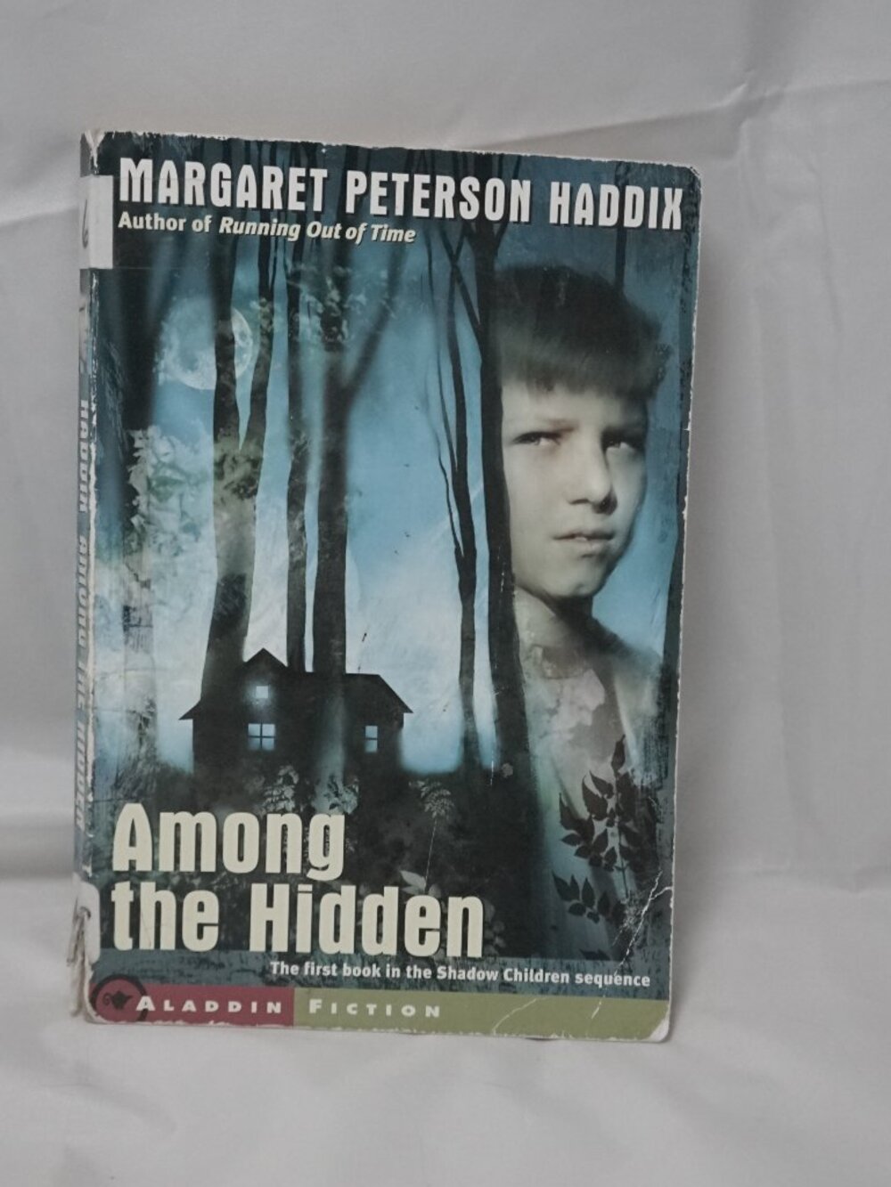Among the Hidden Margaret Peterson Haddix Aladdin Paperback Shadow Children